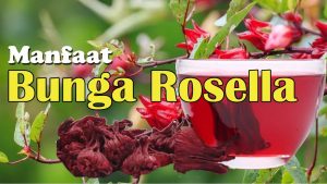 Easiest Way to Make Yummy Teh Rosella
