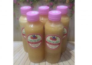 Resep Diet Juice Pineapple Apple Sapodilla Orange Star Fruit Anti Gagal